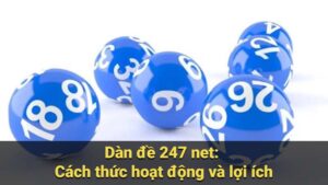 dan de 247 net