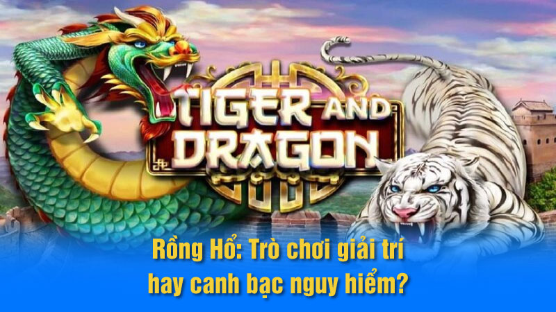 Rồng Hổ: Trò chơi giải trí hay canh bạc nguy hiểm?